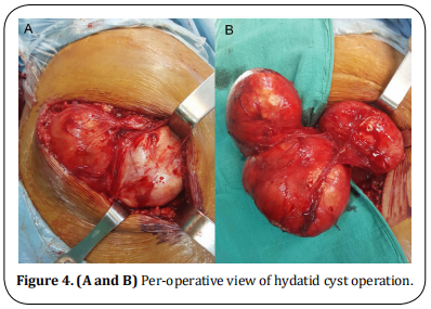 Figure 4.  